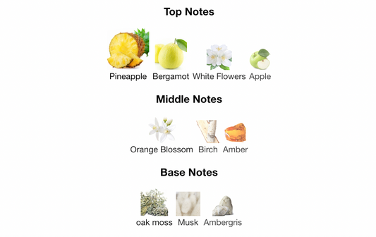 Afnan Supremacy Collectors Edition 100ml EDP