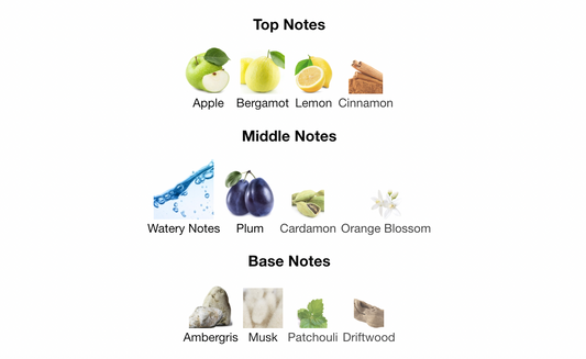 Rasasi Hawas EDP 100ml