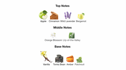 Afnan 9 pm EDP 3.4oz