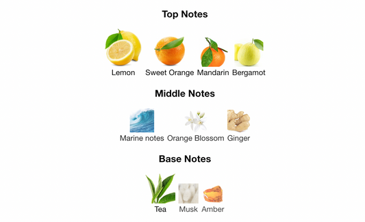 Armaf Odyssey Limon Fresh